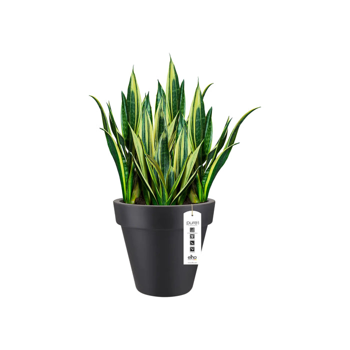 Elho Pure Round Bloempot Ø 40 cm - Antraciet