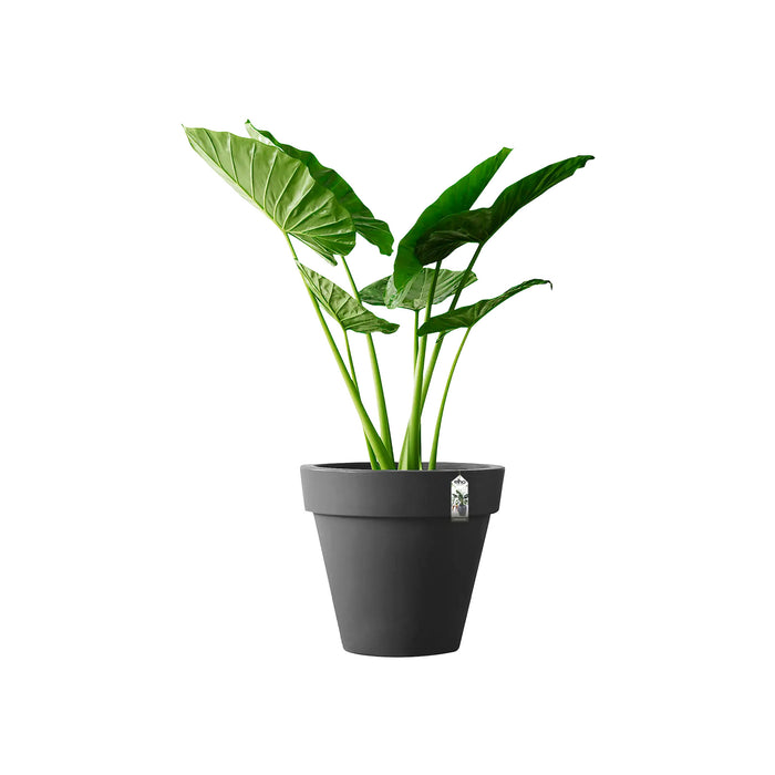 elho Pure Round Bloempot Ø 80 cm - Antraciet