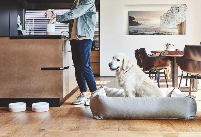 Coppa voorraadpot slate