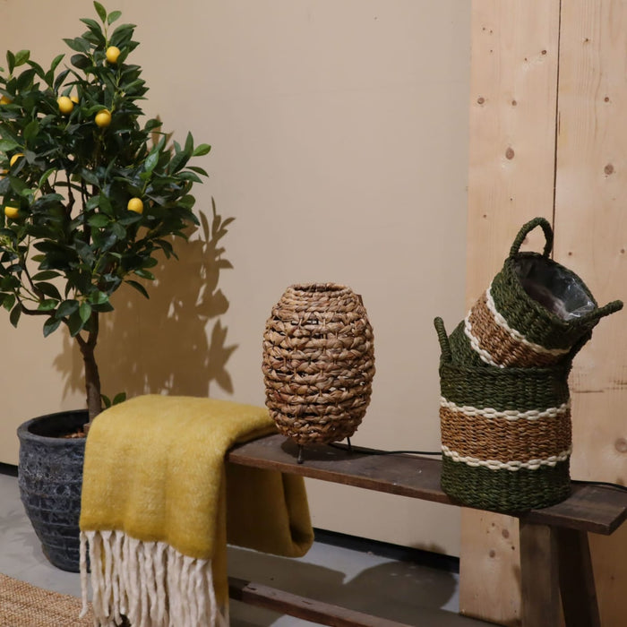 31edd0c3-31bc-4413-806e-caa5873cd10a-afbeelding7.jpg (7603516)