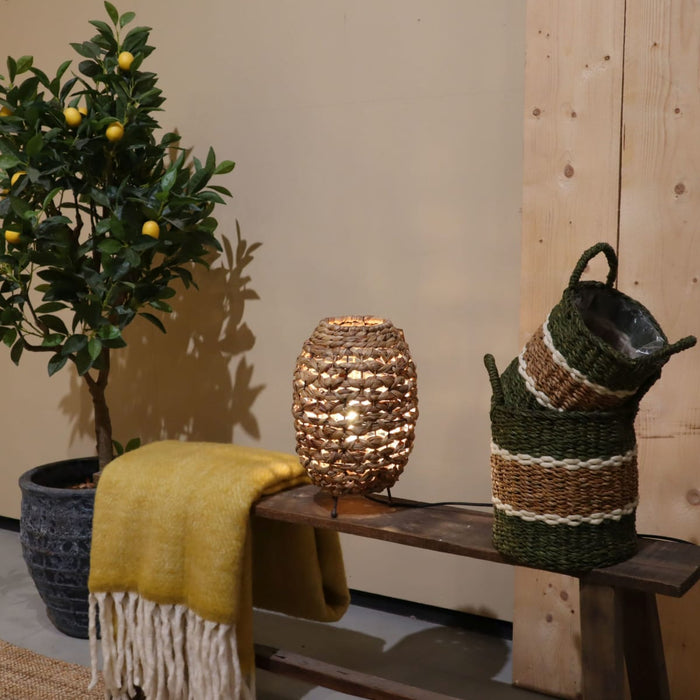 31edd0c3-31bc-4413-806e-caa5873cd10a-afbeelding8.jpg (7603517)