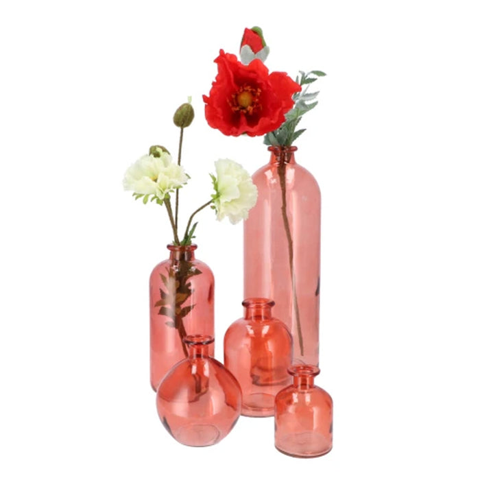 31413f80-177d-4a2c-a986-c9fa32055a8b-afbeelding3.jpg (7620104)