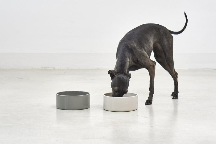 MiaCara Scodella hondenvoerbak large Greige