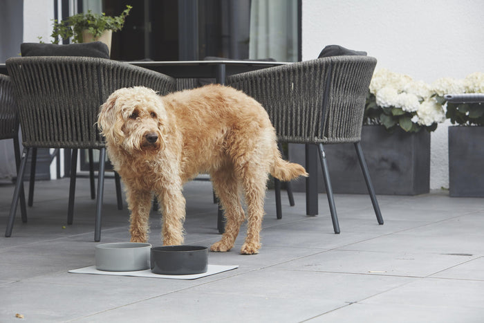 MiaCara Scodella hondenvoerbak large Greige