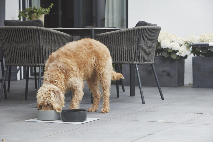 MiaCara Scodella hondenvoerbak large Cement