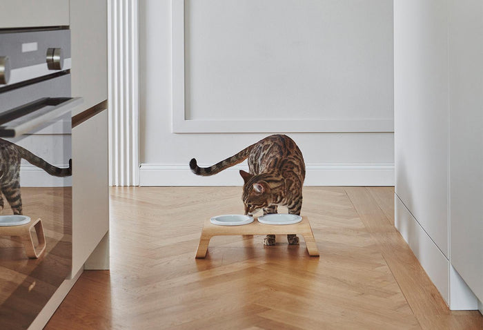 MiaCara Desco kattenvoerbak porselein grijs