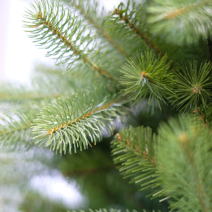 Bayberry kunstkerstboom - 274 cm - groen - Ø 180 cm - 3.185 tips