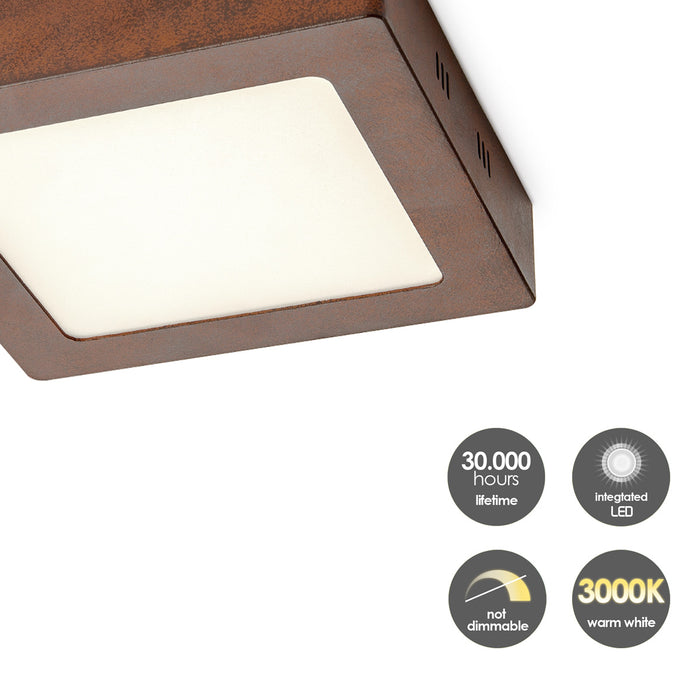 aff8e109-ea77-4623-829b-950eec99d990-afbeelding11.jpg (7653746)