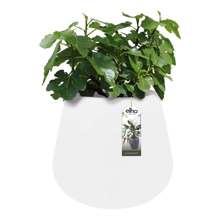 elho Pure Cone Bloempot Ø 45 cm - Wit