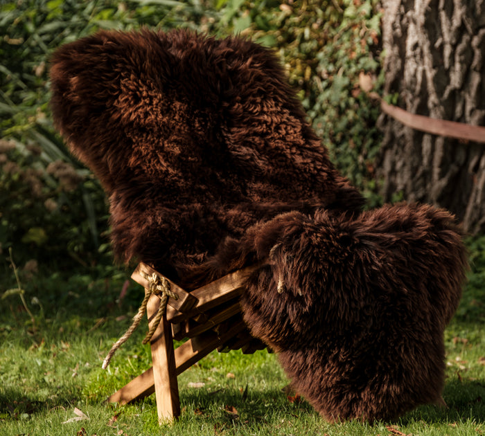 d22bacb4-fe02-47f3-b2b1-aeb2147c93cd-afbeelding5.jpg (7680203)