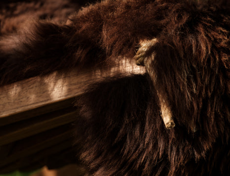 d22bacb4-fe02-47f3-b2b1-aeb2147c93cd-afbeelding6.jpg (7680204)