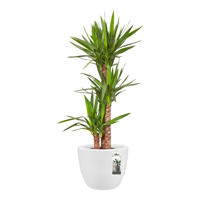 elho Pure Soft Round Bloempot Ø 40 cm - Wit