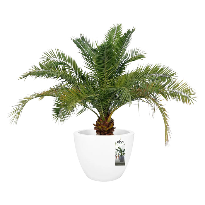 elho Pure Soft Round Bloempot Ø 60 cm - Wit