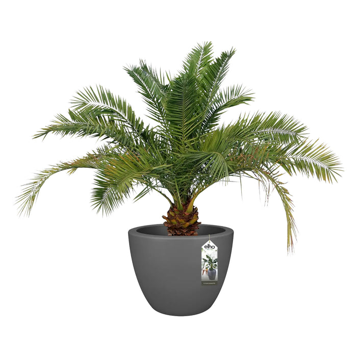 elho Pure Soft Round Bloempot Ø 60 cm - Antraciet