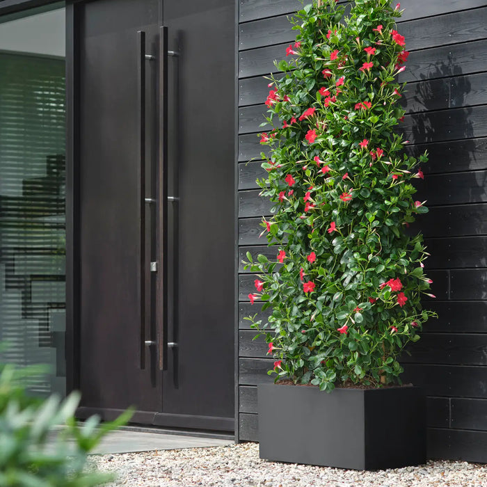 elho Vivo Next Plantenbak B 80 cm - Zwart