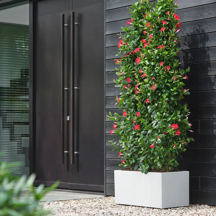 elho Vivo Next Plantenbak B 80 cm - Wit