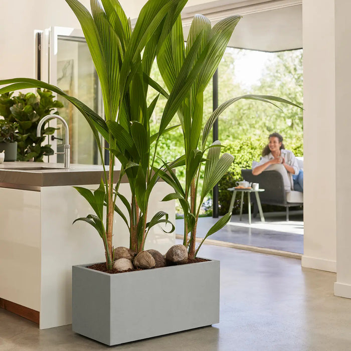 elho Vivo Next Plantenbak B 80 cm - Grijs