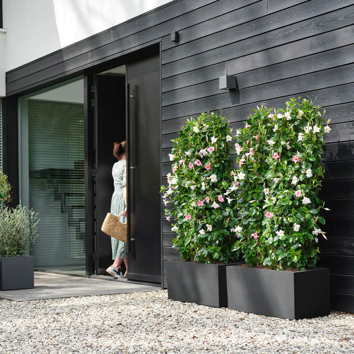 elho Vivo Next Plantenbak B 60 cm - Zwart