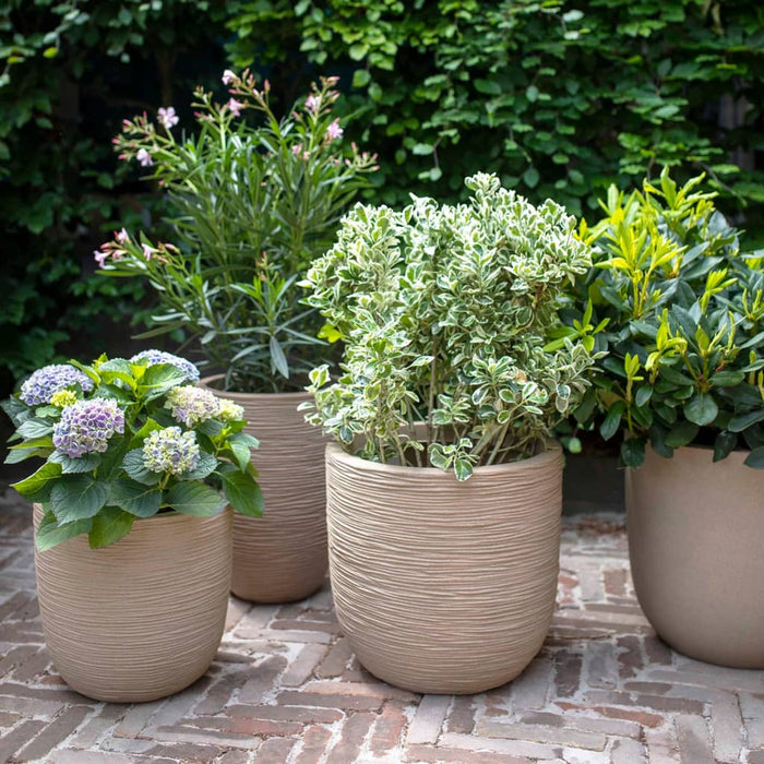 b5be7042-8d66-43a4-aa67-09881388375e-afbeelding9.jpg (7721302)