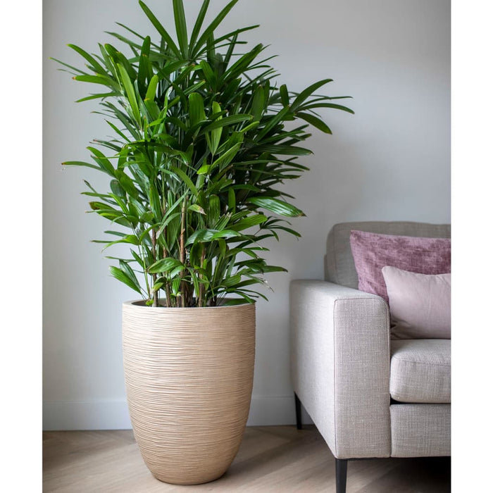 4608c2f2-aa61-4a94-afa2-14be0d285084-afbeelding8.jpg (7721356)