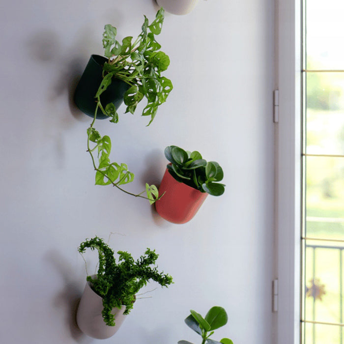 QUVIO Wand bloempot- Kunststof - Lichtgrijs