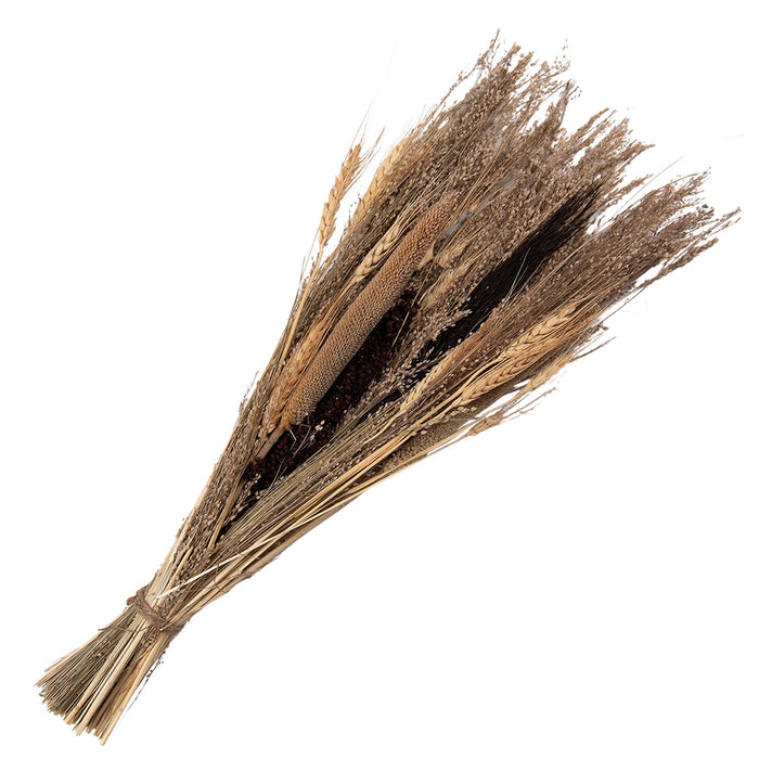 2105e73d-2661-4f54-b09b-69cfa8b23de9-afbeelding10.jpg (7739488)