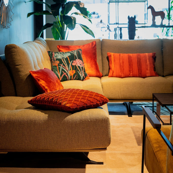 75465e97-0f07-4a90-bee3-8e6e887d993b-afbeelding8.jpg (7781054)