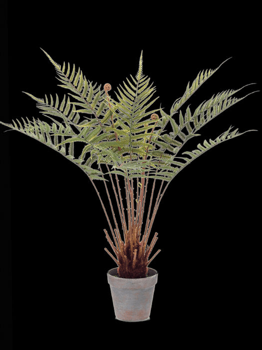 652f7cd3-315d-4582-b806-54b87cb19fb8-afbeelding3.jpg (7787585)