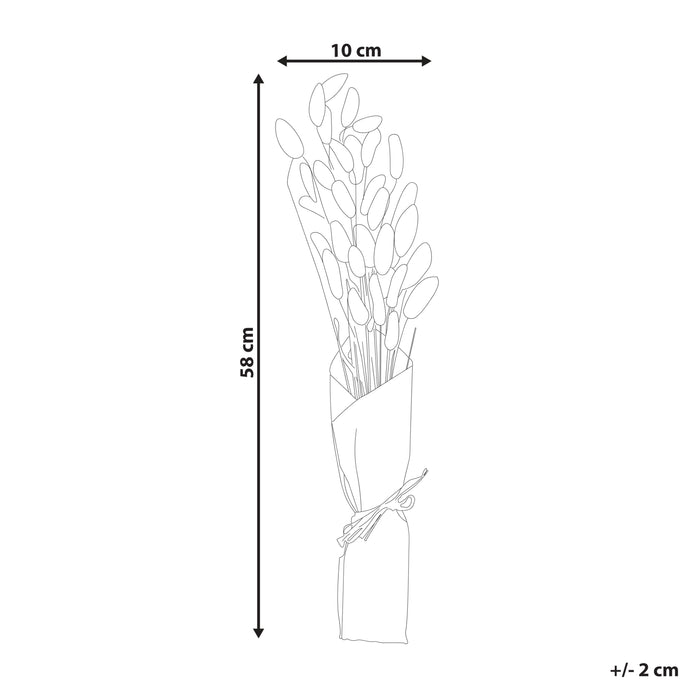 293e13a3-adab-4d0b-af2a-f890ec5534ff-afbeelding11.jpg (7790083)