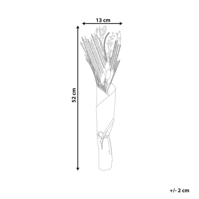 fc6ee562-3919-4cdf-ad2e-50bf74a9f0c8-afbeelding11.jpg (7790088)