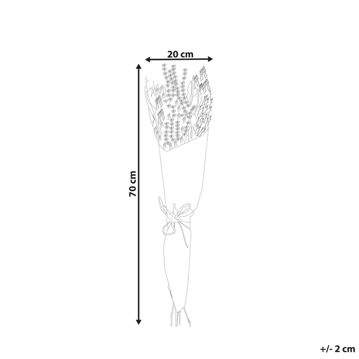 4434f2bc-d308-49a5-993e-4faed0718b95-afbeelding11.jpg (7794350)