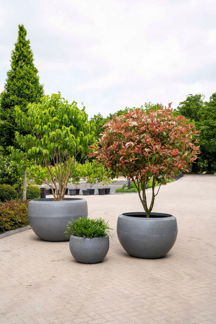 Capi Europe Vaas bol Granite - 132x90 - Zwart