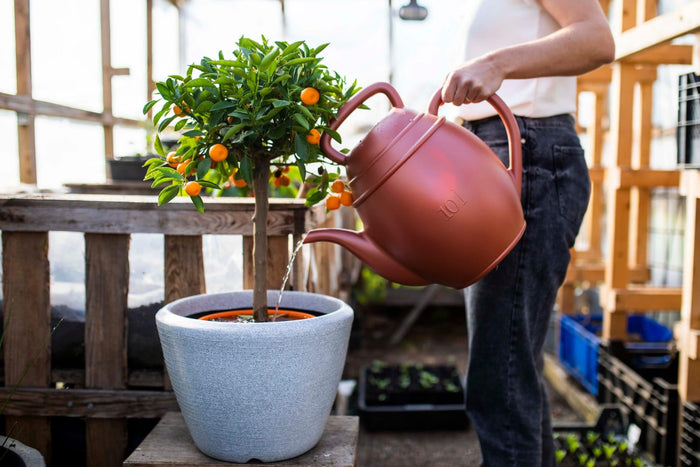 Capi Europe - Pot bol Arc Granite - Wit - 75x60