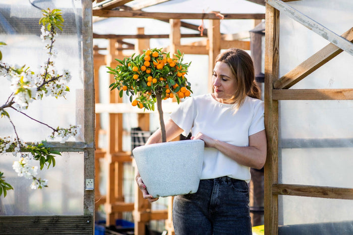 Capi Europe Bloempot bol Arc Granite - 156x90 - Zwart