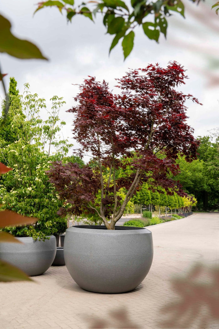 Capi Europe Vaas bol Granite - 88x60 - Antraciet