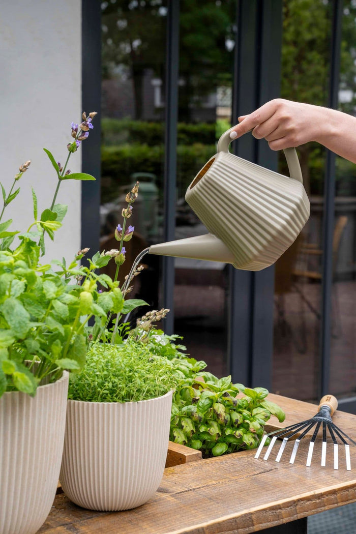 372163cc-9256-4db0-a038-2a73314032ec-afbeelding5.jpg (7804640)