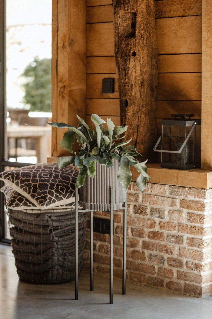 5e8388f7-7b01-432a-8916-72eb4e9897ef-afbeelding4.jpg (7804686)