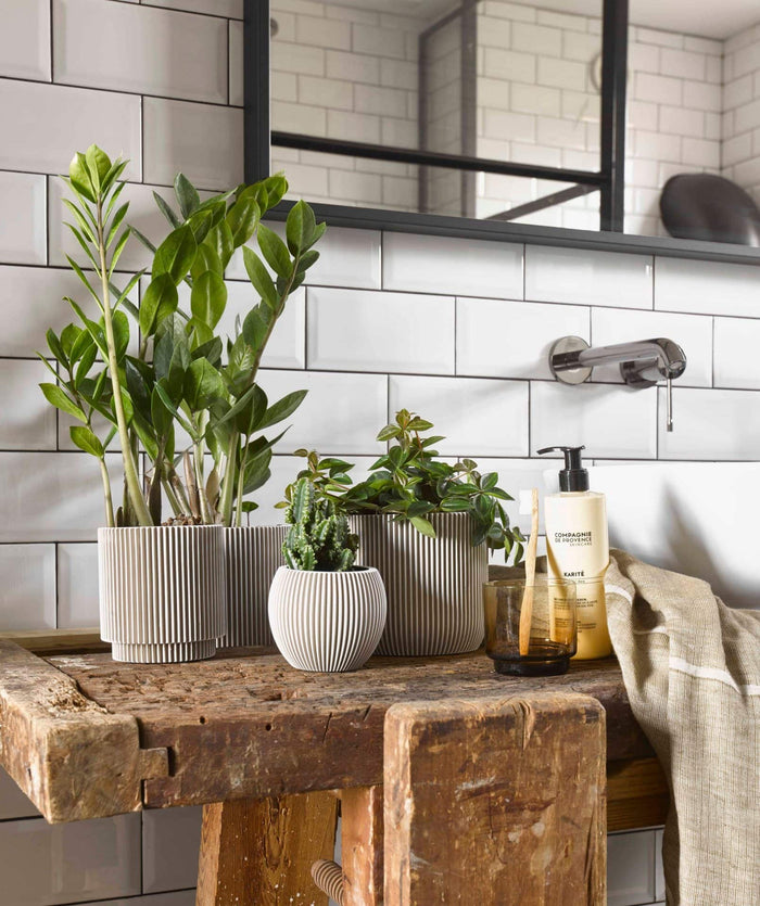 5e8388f7-7b01-432a-8916-72eb4e9897ef-afbeelding6.jpg (7804688)