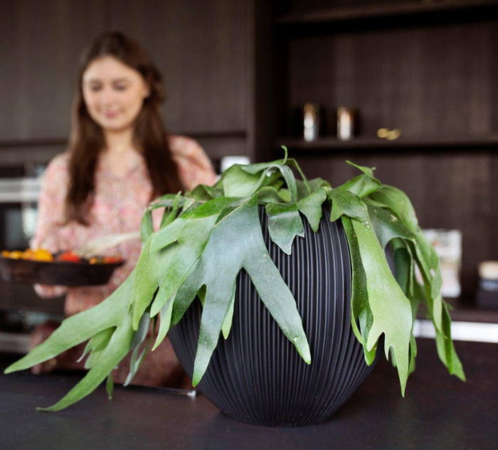 56d6886c-ed81-44c2-be12-ddc7b62d33b7-afbeelding3.jpg (7804691)