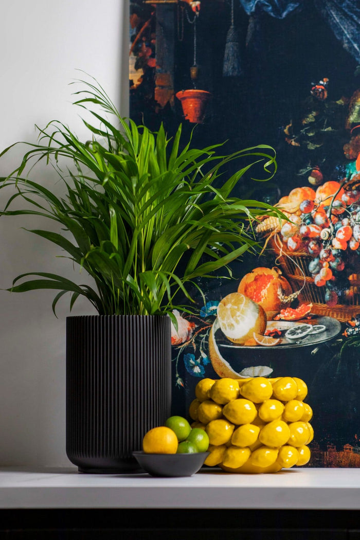 a362fb78-7580-4f52-b010-bfcb2c69e620-afbeelding3.jpg (7804729)