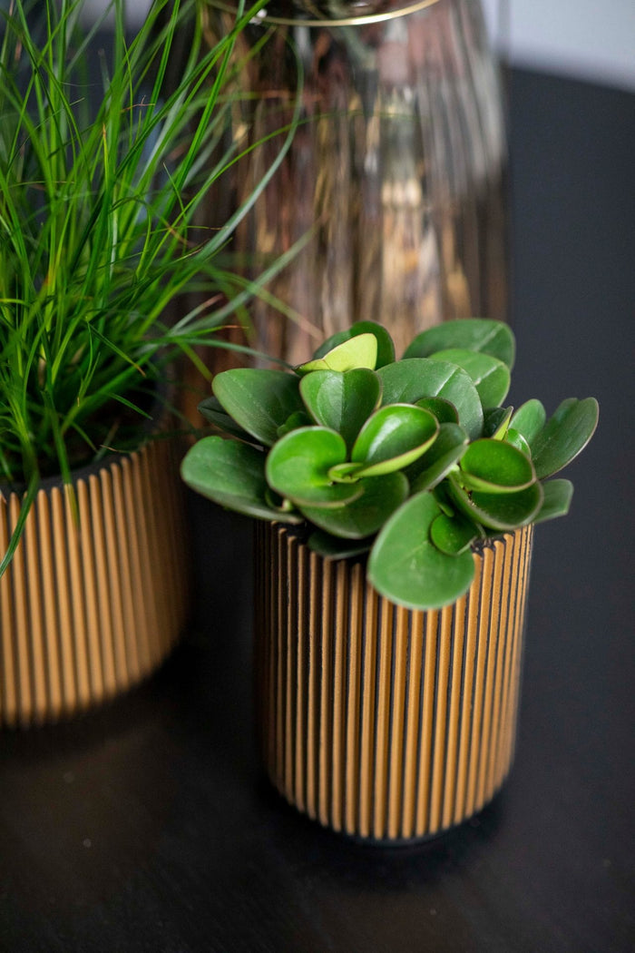 e114067e-cf8a-48bb-a598-834c692db0c1-afbeelding4.jpg (7805196)