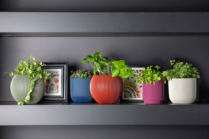 66012074-cbc2-4931-9716-eae8e5bd2a2c-afbeelding5.jpg (7805275)