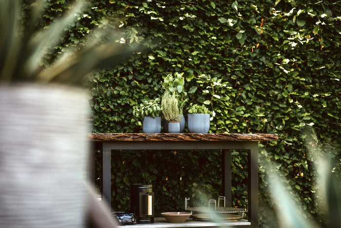 c064afd2-4aa7-43f7-afd6-2de6998a2ffe-afbeelding5.jpg (7805522)