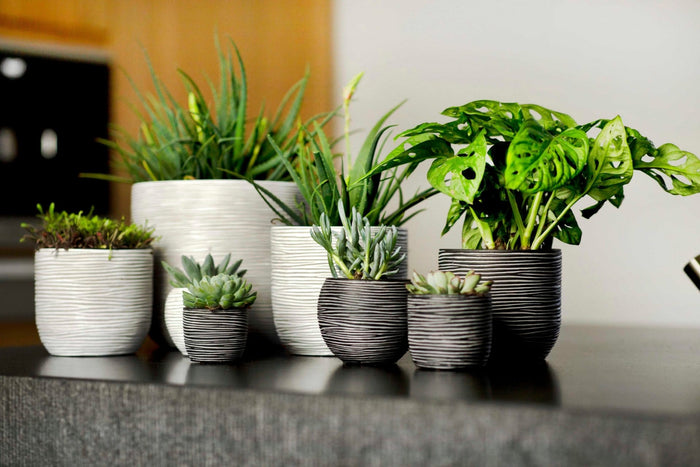 0fe33d13-1d4a-4119-a23b-91e60fee8273-afbeelding3.jpg (7805613)