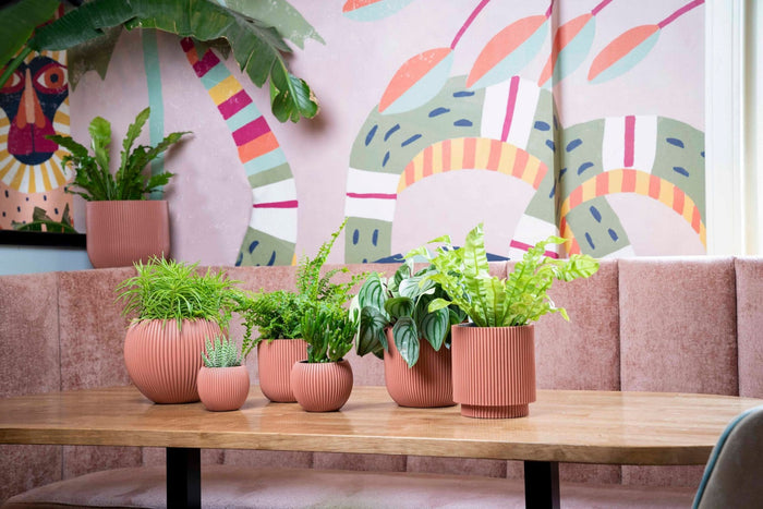 297202f1-2658-4c16-be3f-f7f4b44eab64-afbeelding6.jpg (7805675)