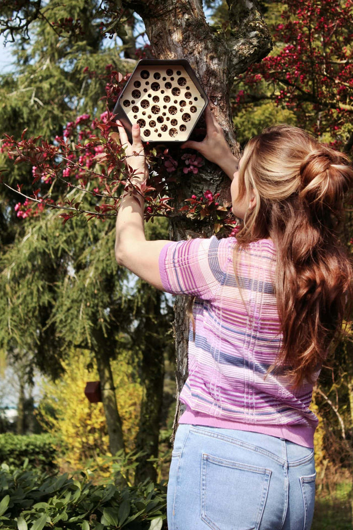 Capi Europe - Bijenhotel Hive - 19x23x20 - Antraciet