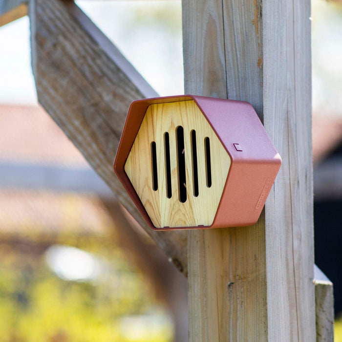 Capi Europe - Vlinderhuisje Hive - 19x23x20 - Antraciet