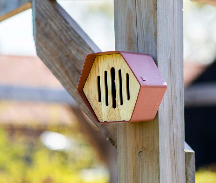 Capi Europe - Vlinderhuisje Hive - 19x23x20 - Antraciet