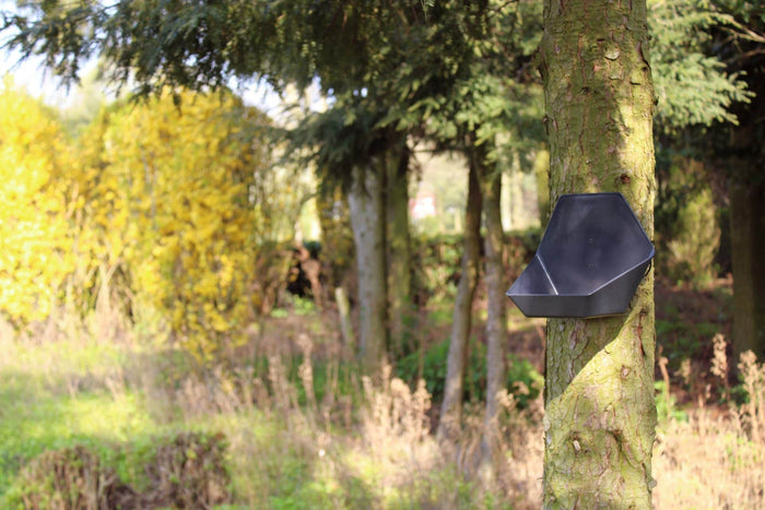 Capi Europe - Plantenbakje Hive - 19x23x20 - Bruin