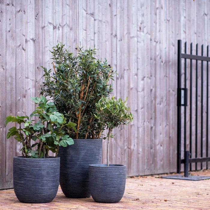 Capi Europe - Vaas elegant laag Waste Rib NL - 34x46 - Terrazzo beige